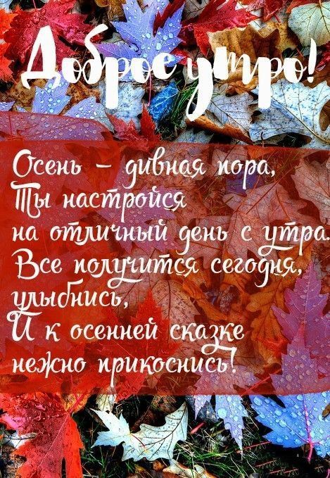 Осень Зиднея нора _Ж Щл настроив тд на отдиъныйзеньдед тра Ъсе нщьдится сего ня днись 3947 осенней Ке неэісно приноснисдту