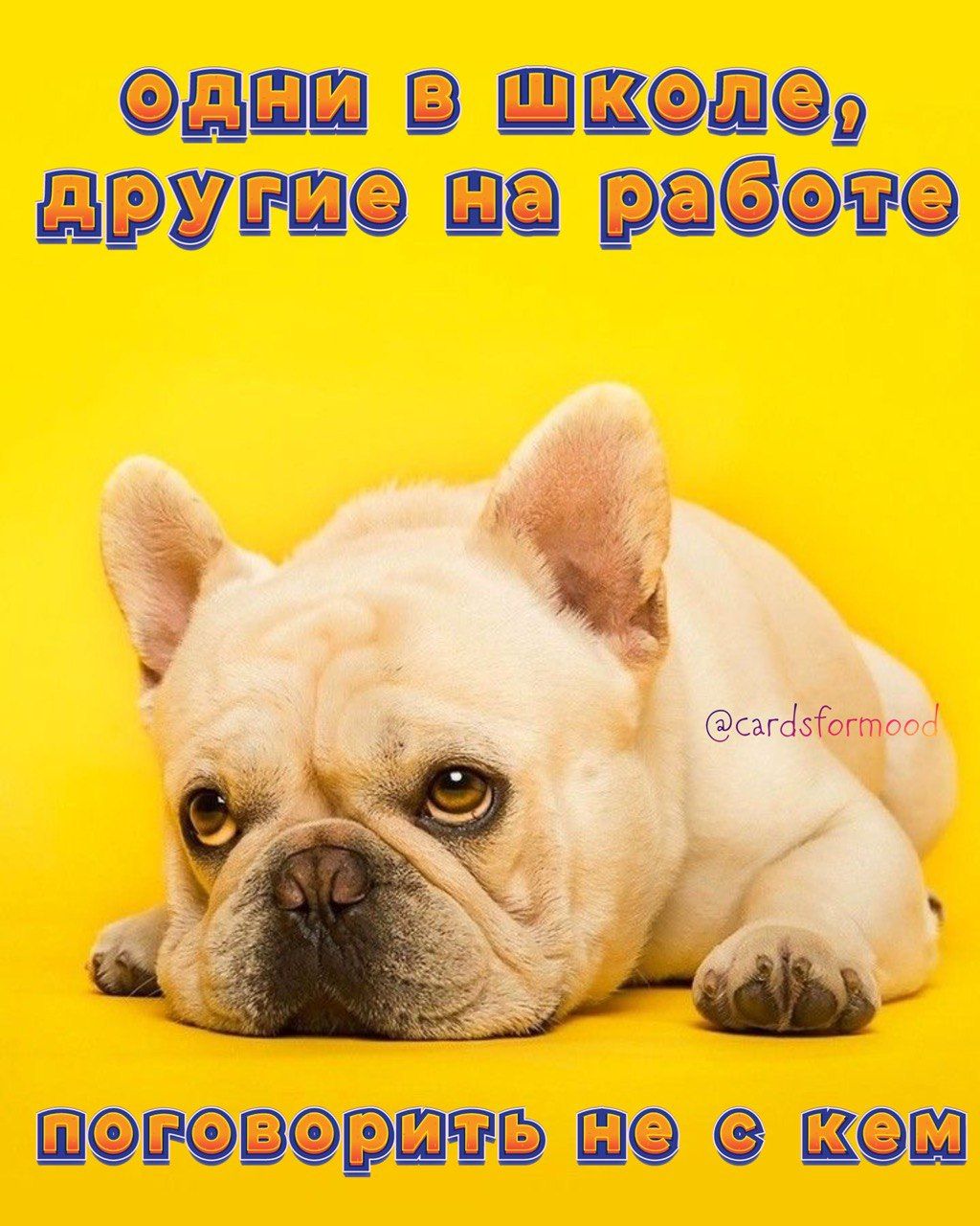 ап Цр на Фёё азазгтп _ ПЁЁ ПФ