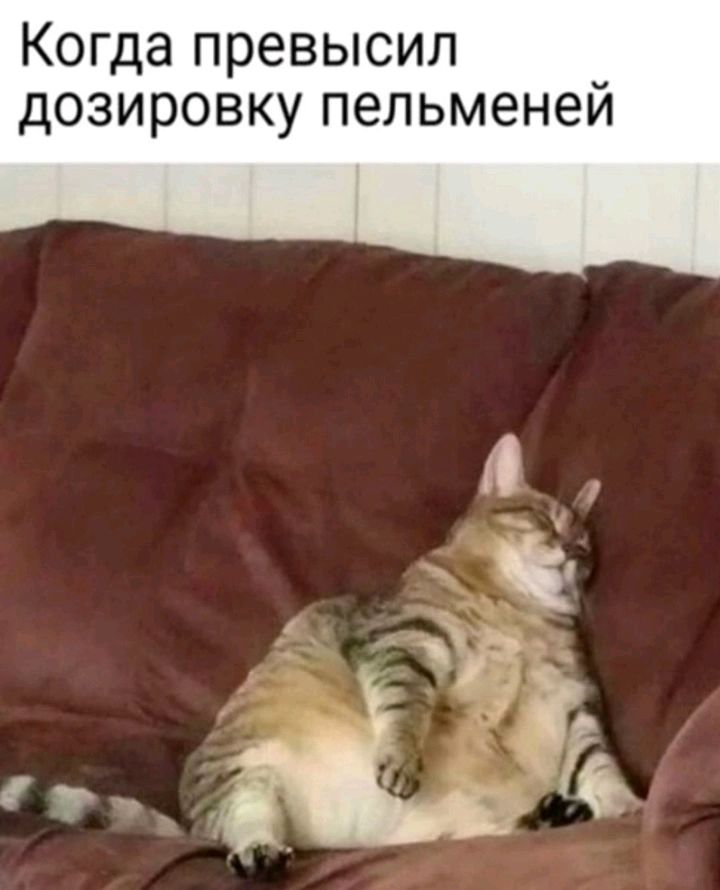 Когда превысил дозировку пельменей
