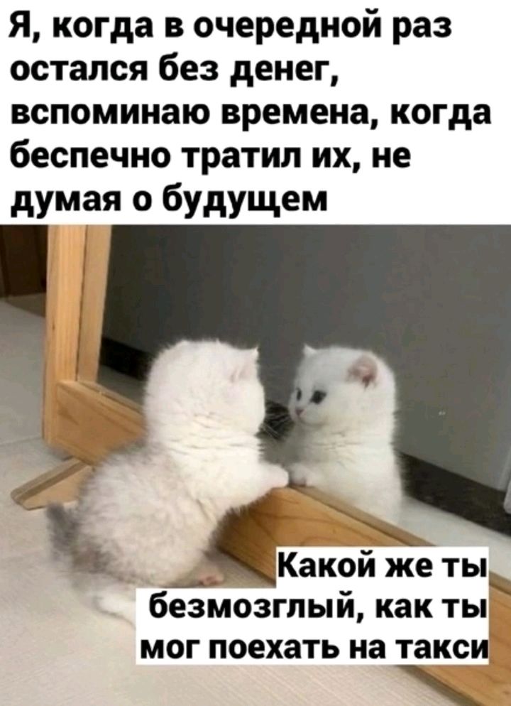 Я когда в очередной раз остался без денег вспоминаю времена когда беспечно тратил их не думая о будущем безмозглый как ты мог поехать на такси