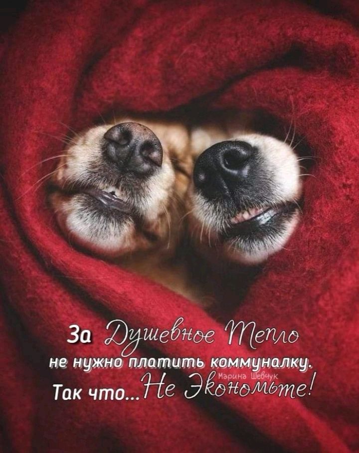 За Юдшебнде тетю ИЕ пмтцть 7 Так что Не ЭЁ ММдте