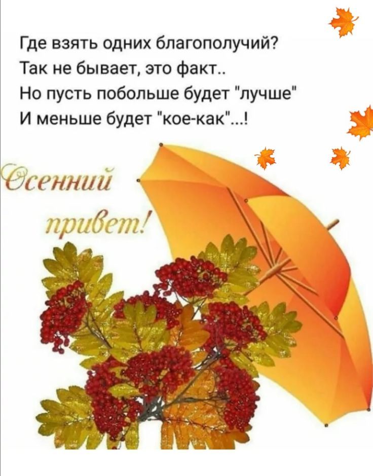 Где взять одних благополучий Так не бывает это Факт Но пусть побольше будет лучше И меньше будет кое как Сеншлі щшхбдст