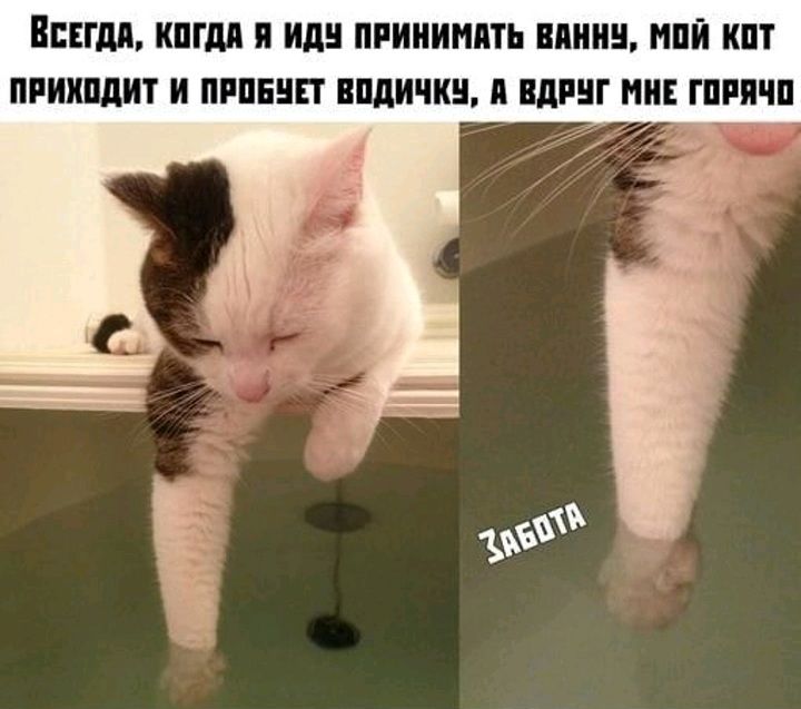 ПЦПИ КШМ П М ПРИИИИМЬ ними НЕЙ ПРИКПДИТ И ПРПЕЧП ЕПДИПШ П ПРШ И ГПРПЧП