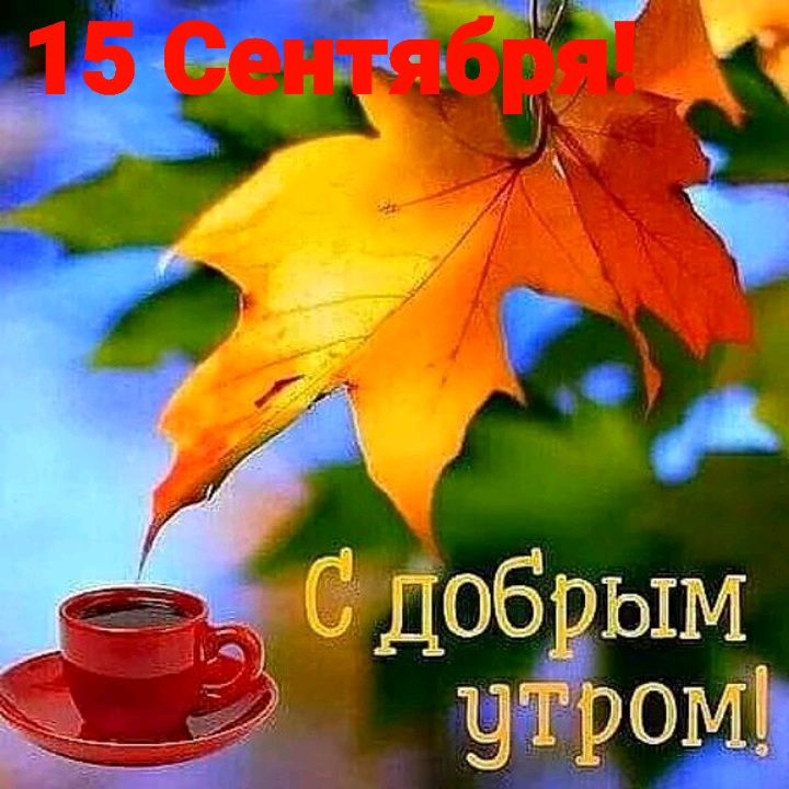 _ _ дБЭЫМ __ Чаи ЁЖЪЙ