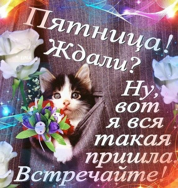 3 Т такая прцшлаі встретит