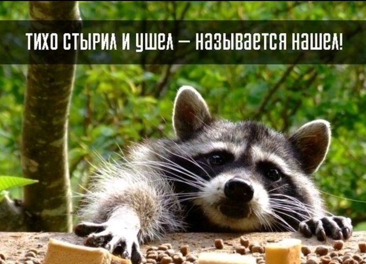 С ТИХП ПТЫРИА И ЦШЕА НББЬШНЕТПН ННШЕА