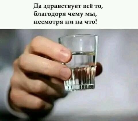 Да здравствует всё то благодаря чему мы несмотря ни на что