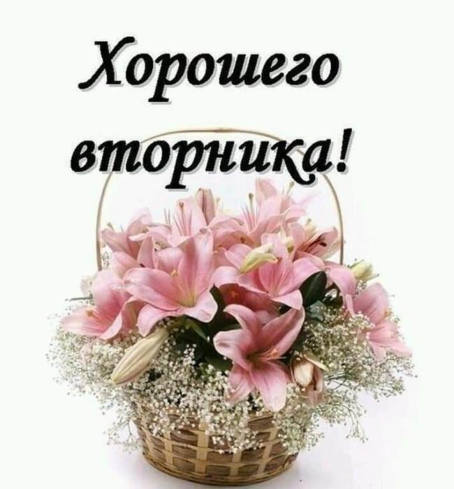 Хорошего вторника М г