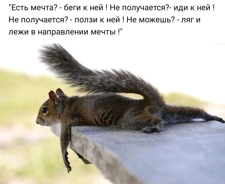 Есть мечта _ беги ней Не попучаетсят иди ней Не получается пслзи ней Не можешь7 _ ляг и пежи в направлении мечты