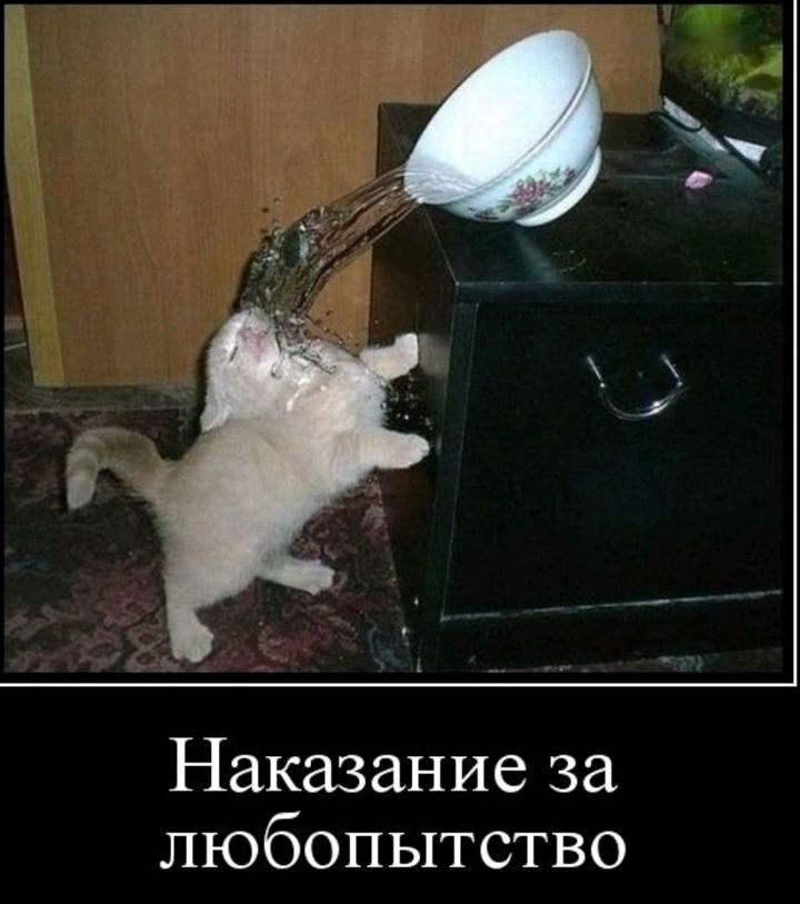 Наказание за любопытство