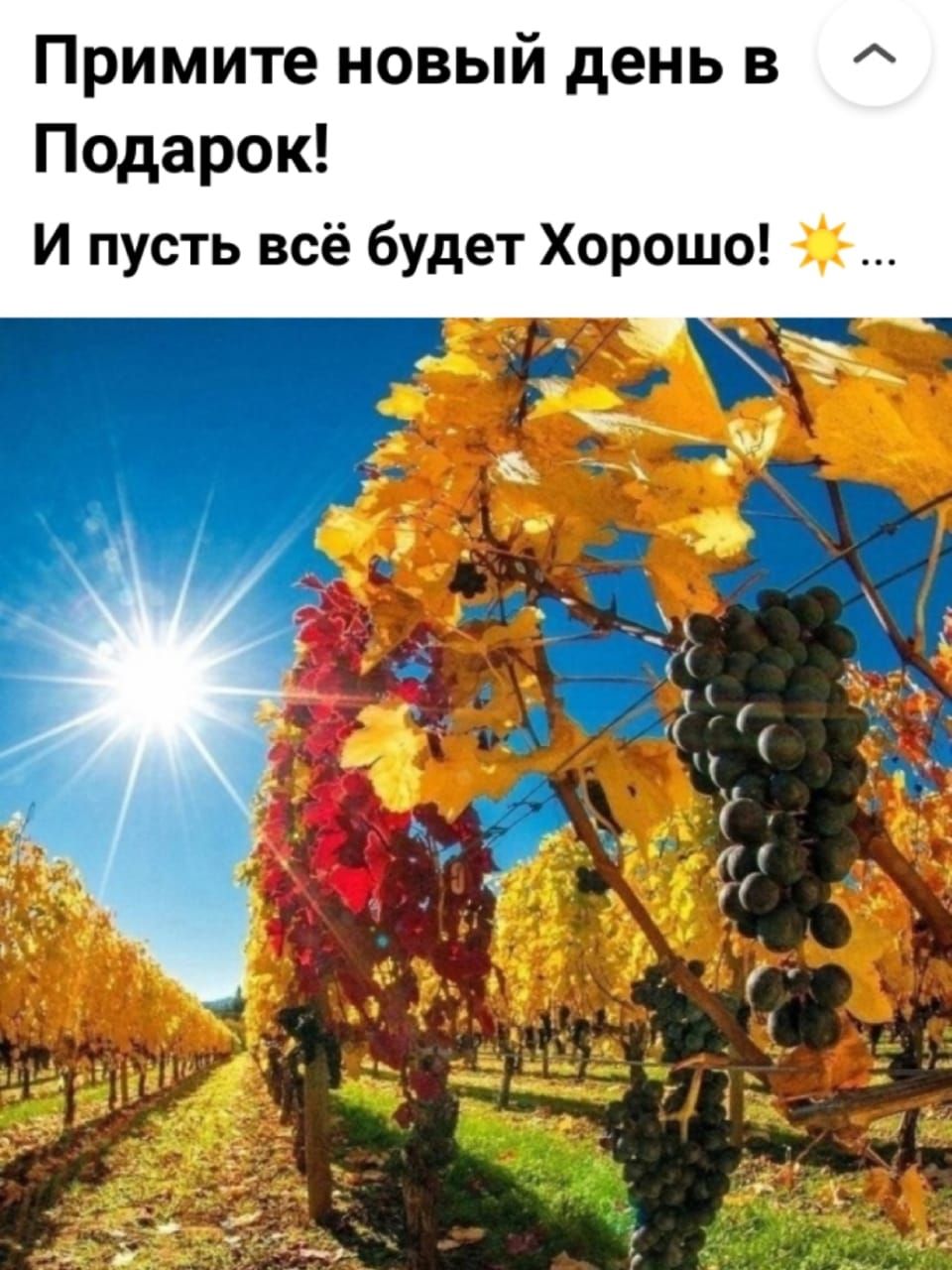 Примите новый день 3 Подарок и пусть всё будет Хорошо