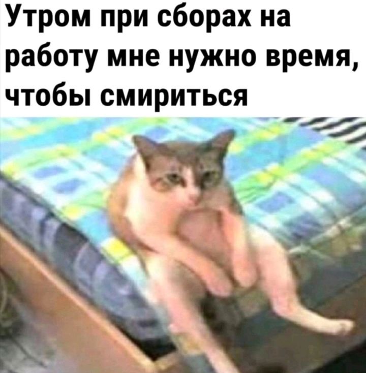 Утром при сборах на работу мне нужно время ЧТОБЫ СМИРИТЬСЯ _ _