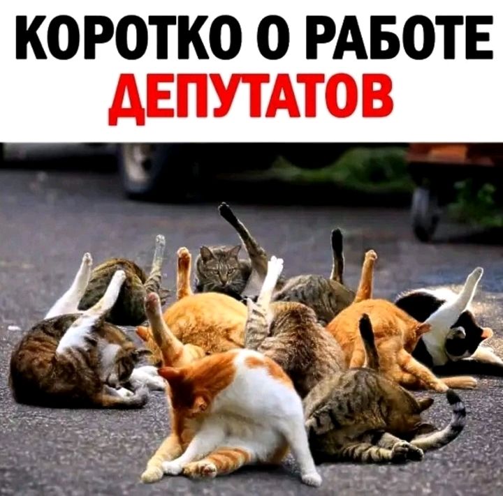 КОРОТКО О РАБОТЕ АЕПУТАТОВ