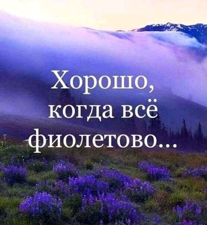 Хорошо когда всё фиолетово