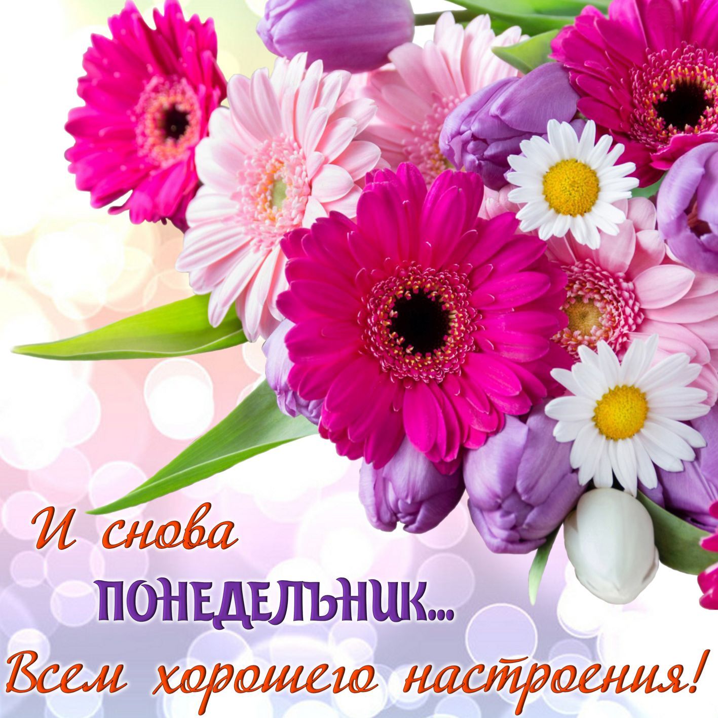 Т Ёж АааДаши мгщшіы