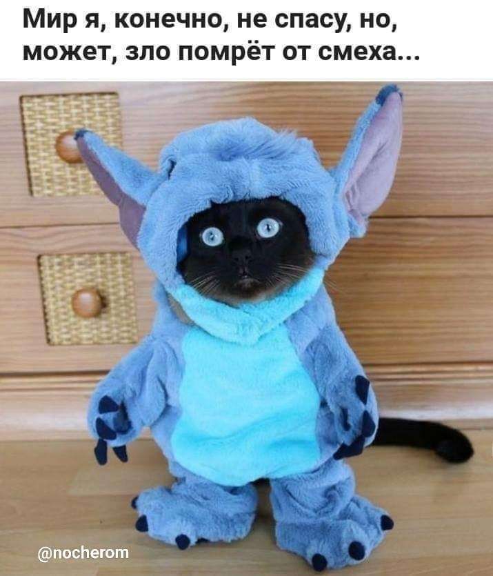 Мир я конечно не спасу но может зло помрёт от смеха