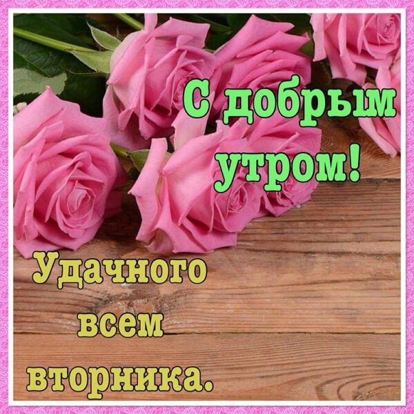 втерн ка