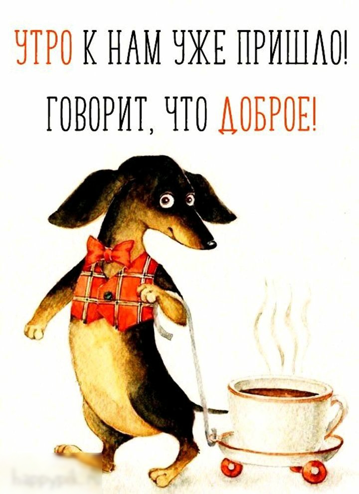 ЧТРО К НАМ ЧЖЕ ПРИШАШ ГОВОРИТ ЧТО АПБРОЕ