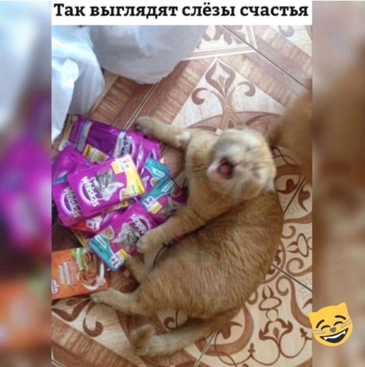 Так выглядят слёзы счастья