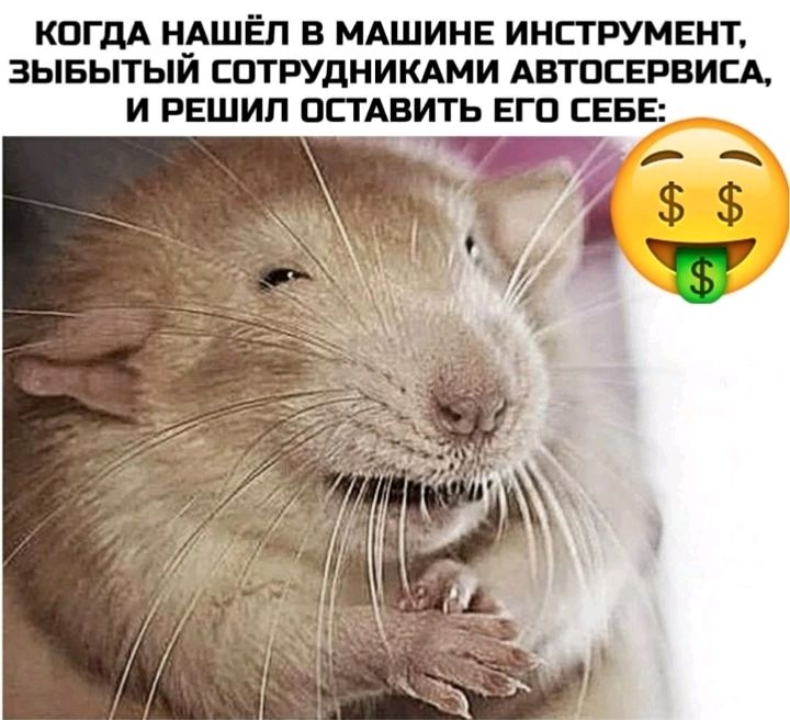 КОГДА Н_АШЁП В МАШИНЕ ИНСТРУМЕНТ ЗЫБЫТЫИ СПТРУДНИКАМИ АВТОСЕРВИСА И РЕШИП ОСТАВИТЬ ЕГП СЕБЕ