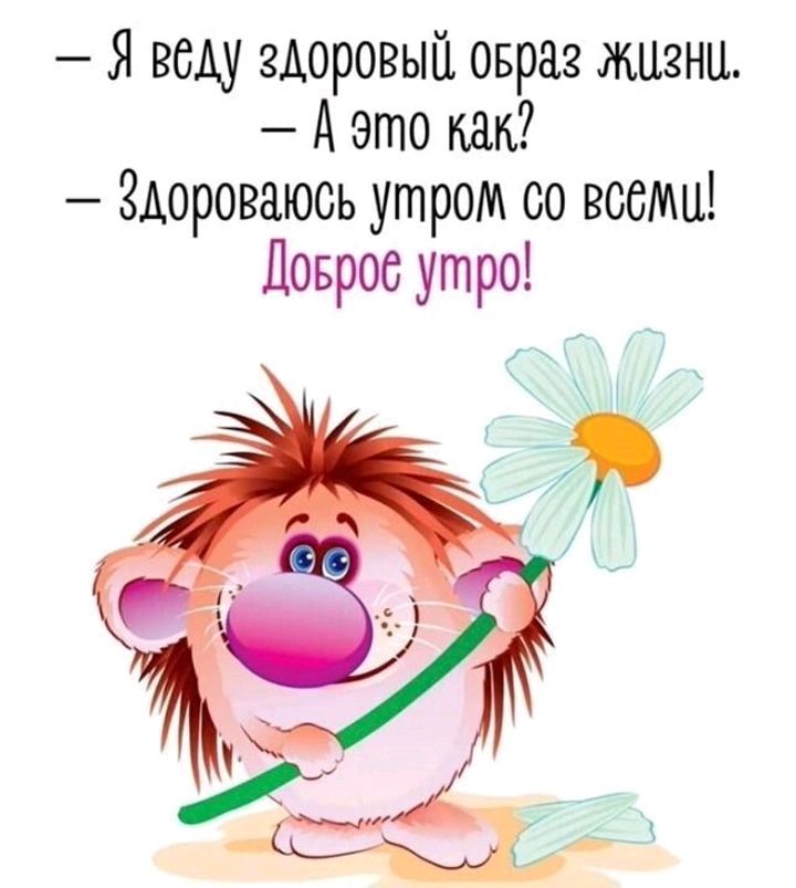 Я веду здоровый овраг жизни А это Здороваюсь утром со всеми Ловрос утро