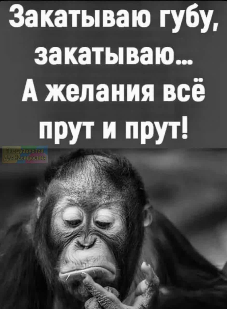 Закатываю губу закатываю А желания всё прут и прут