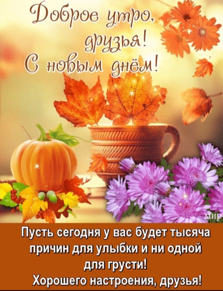 бобров утро Пусть сегодня у вас будет тысяча причин для улыбки и ни одной для грусти Хорошего настроения друзья