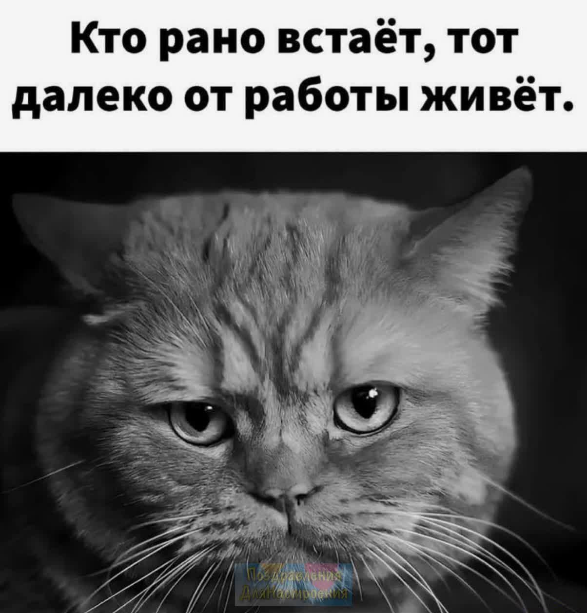 Кто рано встаёт тот далеко от работы живёт