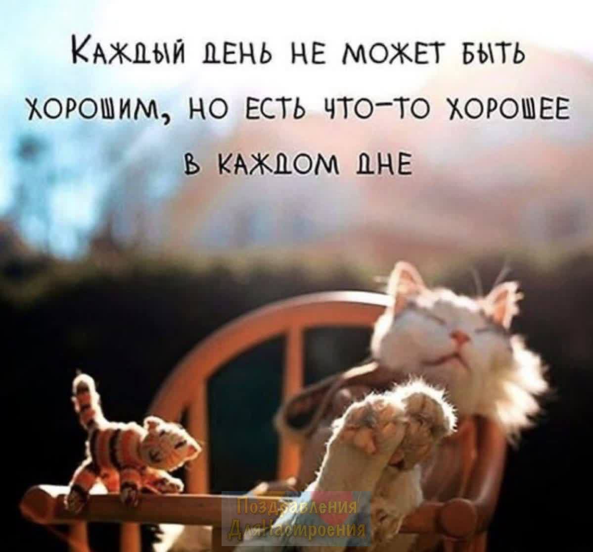 КАЖДЫЙ ДЕНЬ НЕ МОЖЕТ БЫТЬ хорошим НО ЕСТЬ ЧТОТО ХОРОШЕЕ Ь КАЖДОМ ЦНЕ