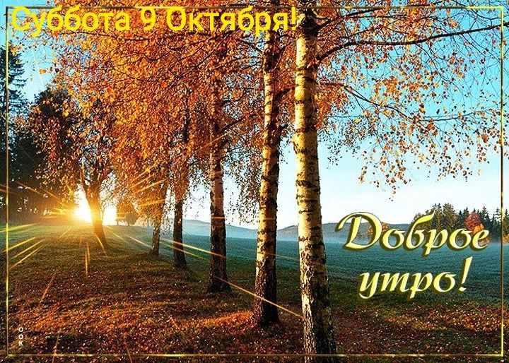 64271943 утрог