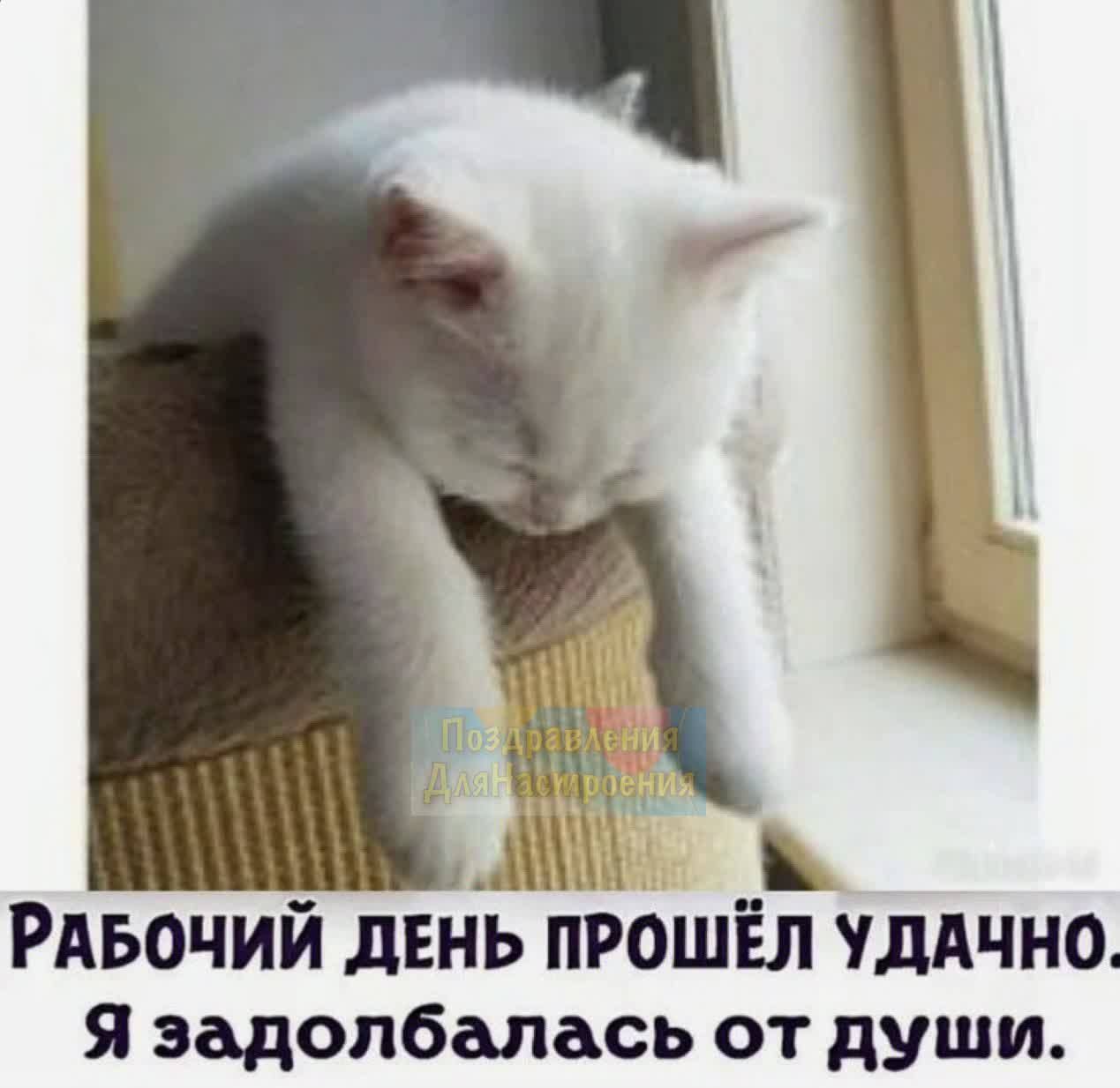 Рдьочий двнь прошёл этично Я эадопбапась от души