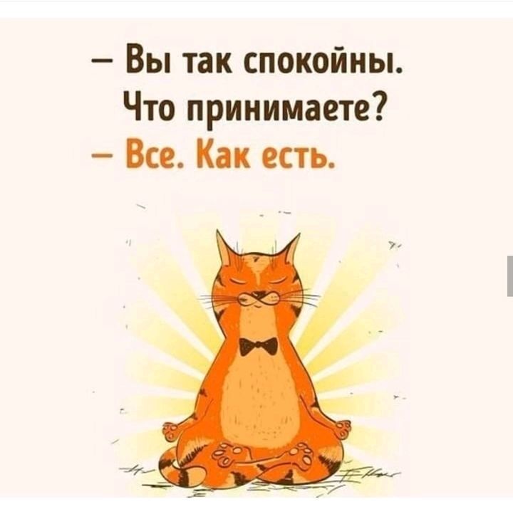 Вы так спокойны Что принимаете Все Как есть