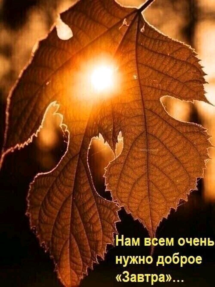 Нам всем очень 5 нужно доброе Завтра