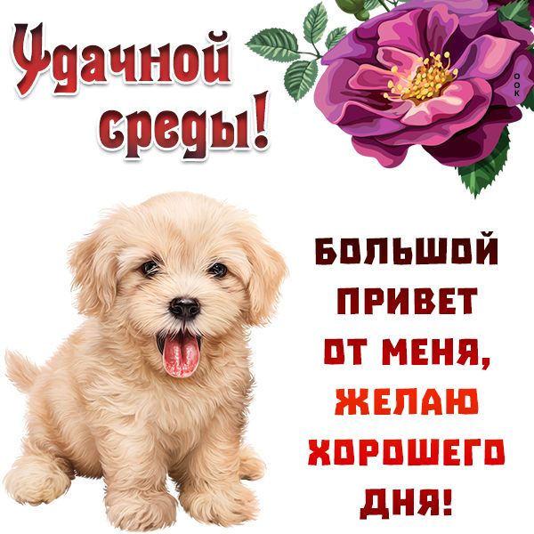_ вппьшпй м4 привит дт меня