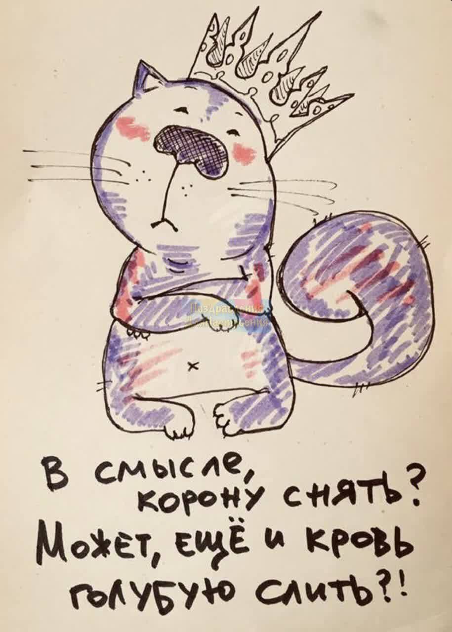 3 сумма Корсу с нЯТЪ Макет щЁ кть эМБУ ам