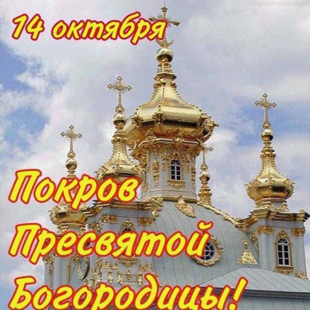 т