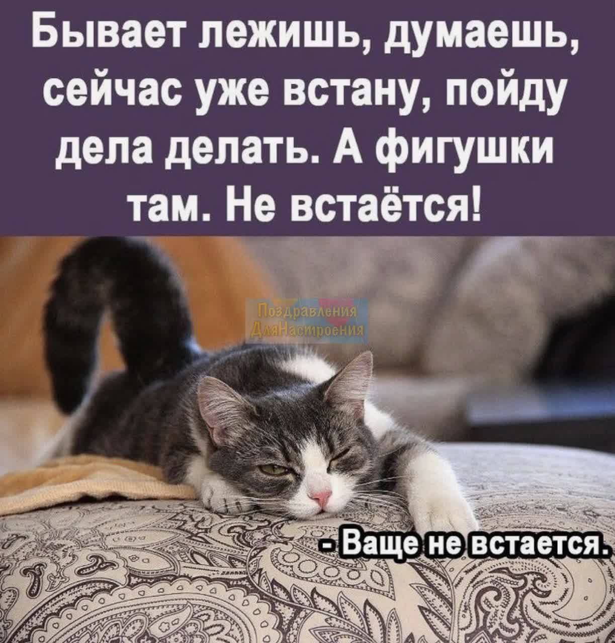 Бывает лежишь думаешь сейчас уже встану пойду дела делать А фигушки там Не встаётся