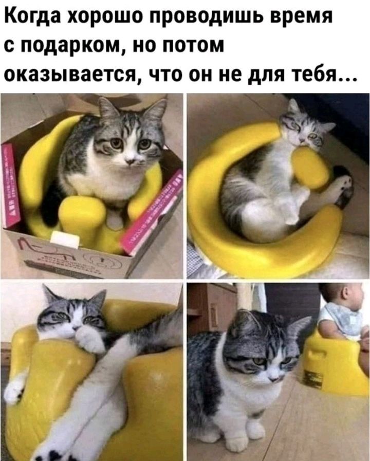 Когда хорошо проводишь время с подарком но потом оказывается что он не для тебя