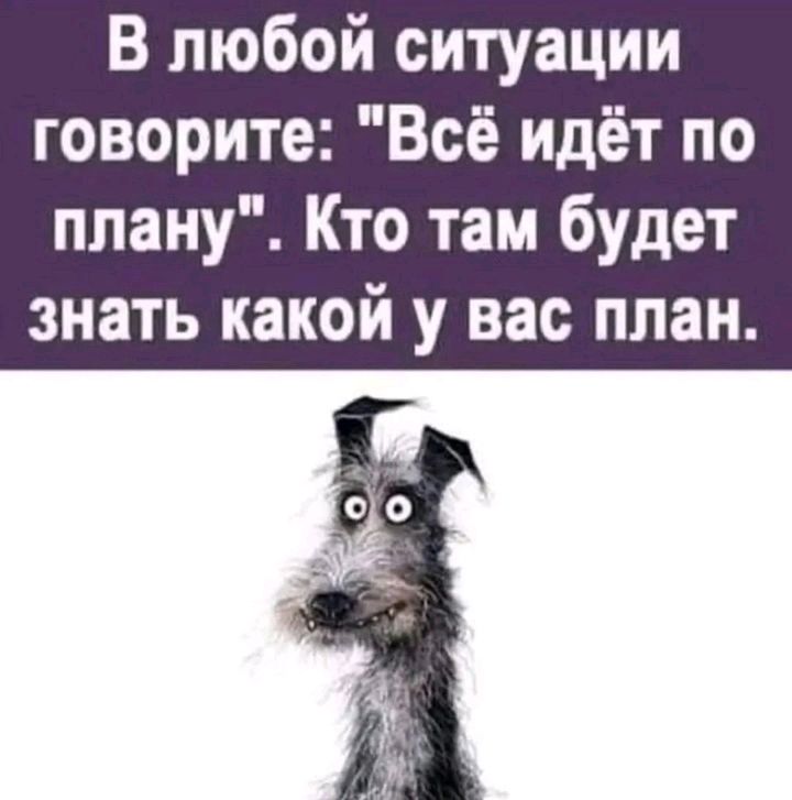 В любой ситуации говорите Всё идёт по плану Кто там будет знать какой у вас план