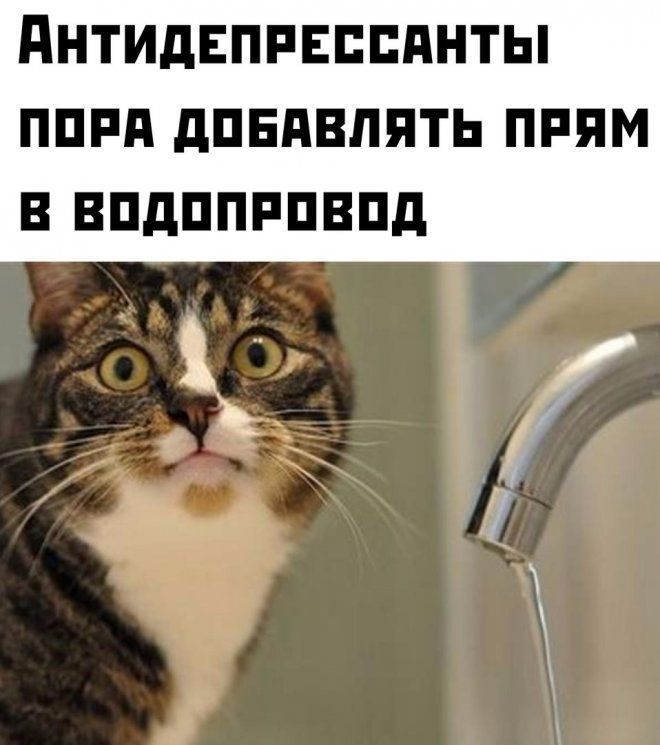 дНТИдЕПРЕЕЕдНТЫ ППРП дПЕдВППТЬ ПРПМ В ВПдППРПВПд