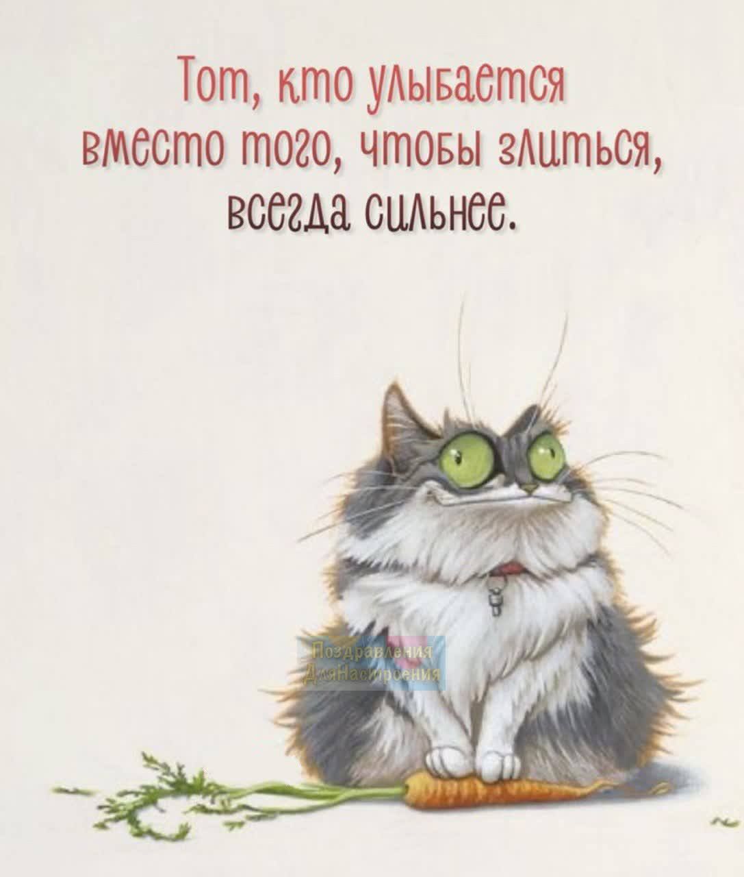 Тот кто удываотся вместо того чтовы зАцтьоя всегда сидьноо