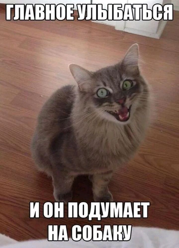 тттгп ШШШ УПЫБАПЬБП Ё И 0 ПВДУМАП ЩЕРБАК