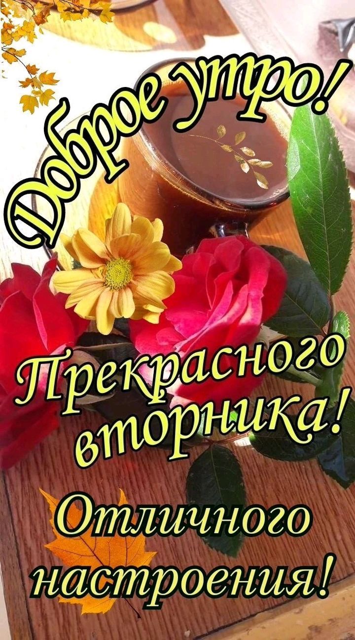 Отличного настроения