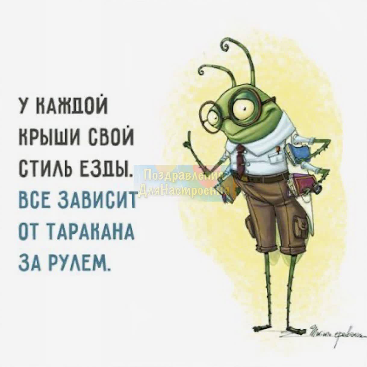 У НАНШПЙ НРЫШИ СВОЙ СТИМ ЕЗПЫ ВСЕ ЗАВИСИТ ОТ ТАРАНАНА ЗА РУАЕМ