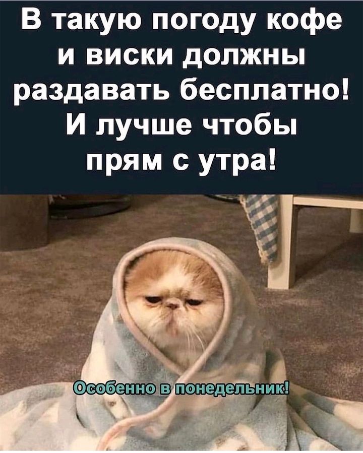 В такую погоду кофе и виски должны раздавать бесплатно И лучше чтобы прям с утра