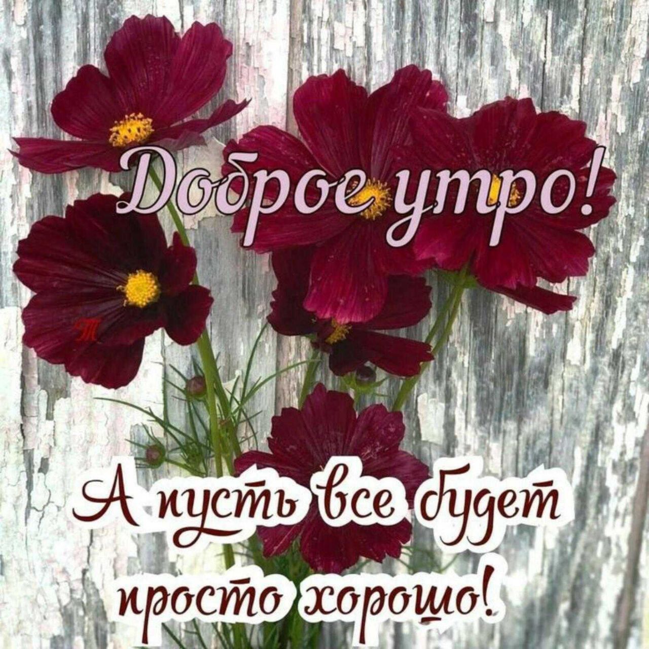 Ё і и 0_ Р 6 0 ст кдо
