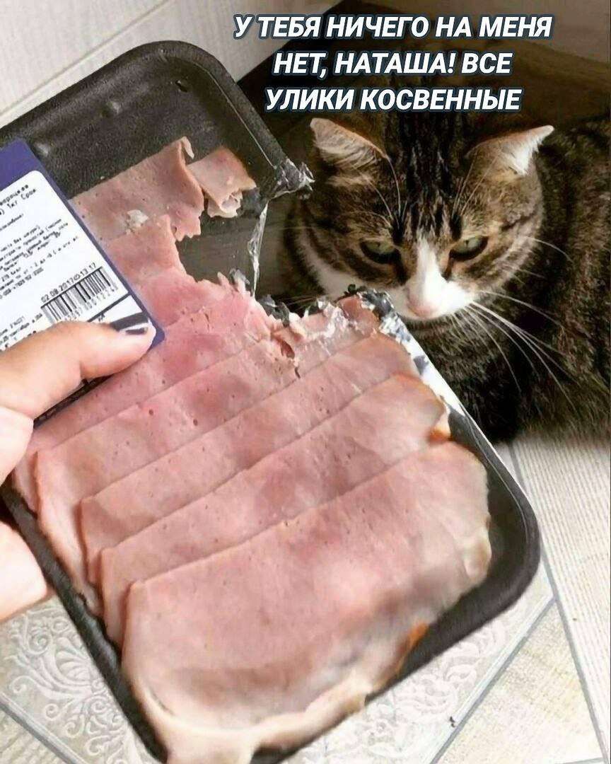 УТЕБЯ НИЧЕГО НА МЕНЯ НЕП НАТАША ВСЕ УЛИКИ КОСВЕННЫЕ 4 __