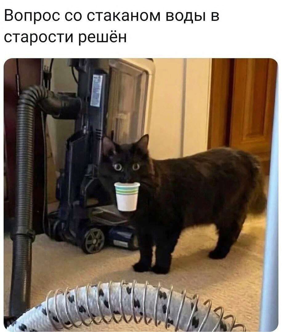 Вопрос со стаканом воды в старости решён
