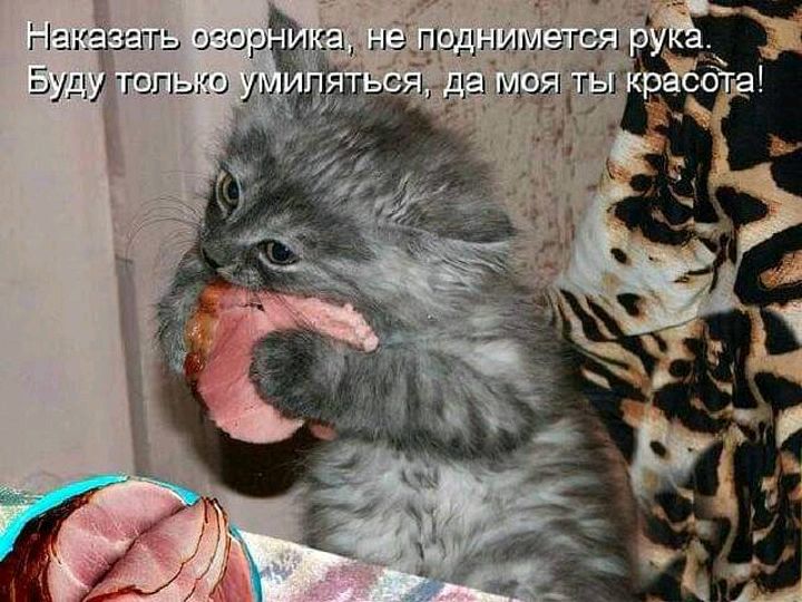 гщ шара гопыо