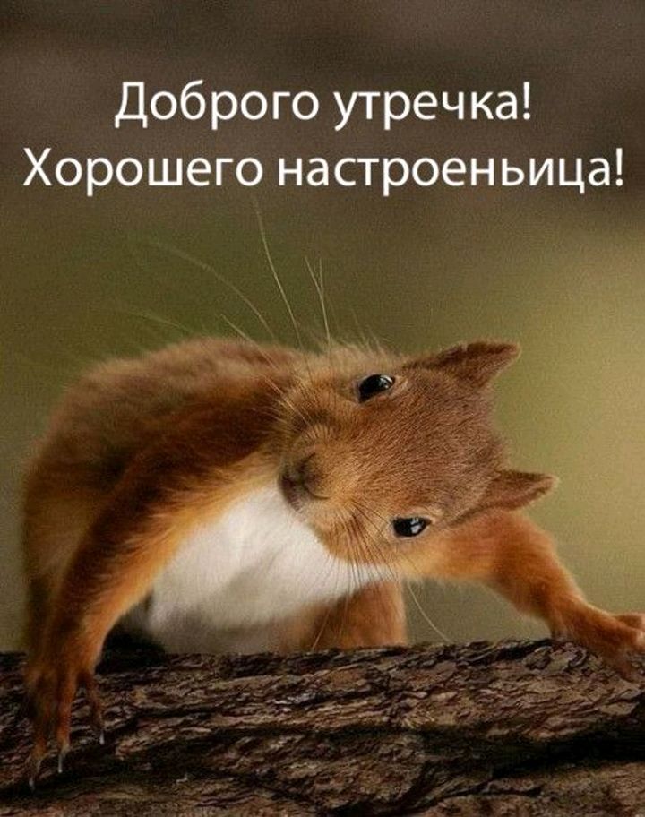 Доброго утречка Хорошего настроеньица